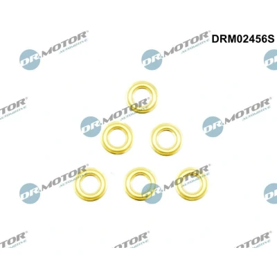 Kuva DR.MOTOR AUTOMOTIVE DRM02456S Lämpösuojalevy, Ruiskutusjärj.