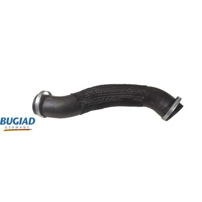 Kuva BUGIAD 82465 Ahdinletku Kuorilla