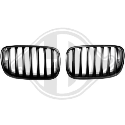 Kuva DIEDERICHS HD Tuning 1291340 Etusäleikkö Musta BMW: X5, X6