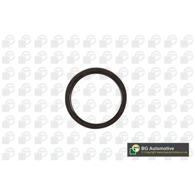 Kuva Akselitiiviste, kampiakseli, Vaihteiston puoli ACURA, CHEVROLET, DAEWOO, HONDA, OPEL, ROVER, SAAB, SUZUKI, VAUXHALL OE 55355235, 614811, 614820