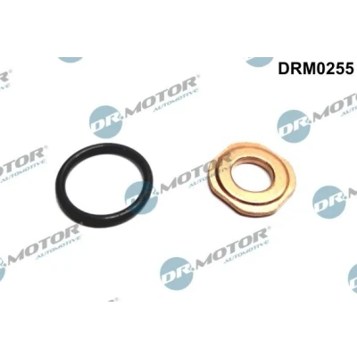 Kuva DR.MOTOR AUTOMOTIVE DRM0255 Tiivistesarja, Ruiskutussuutin