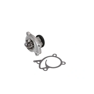 Kuva Vesipumppu AUDI, CHRYSLER, DACIA, DODGE, FORD, MERCEDES BENZ, NISSAN, OPEL, PEUGEOT, RENAULT, SMART, SUZUKI OE 21010ED00A, 21010 ED00A, ED02