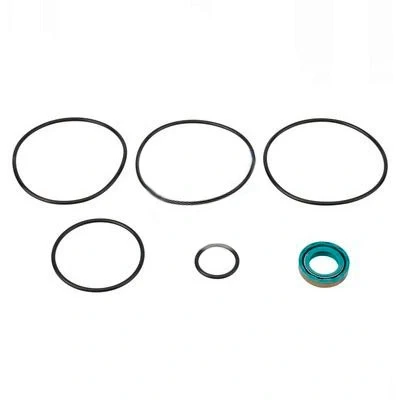 Kuva DT Spare Parts 4.90064 Tiivistesarja, Hydrauliikkapumppu