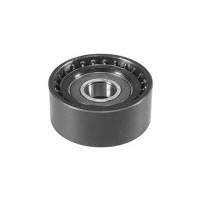 Kuva MAGNETI MARELLI 331316170014 Ohjain /Kiristysrulla Kiilahihna