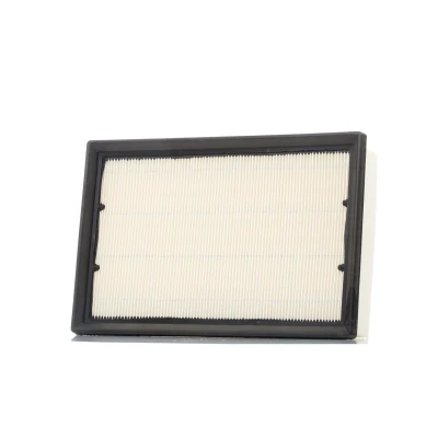 Kuva CHAMPION CAF100867P Ilmansuodatin 58 185 274 Suodatinpanos LAND ROVER: Freelander 2 SUV