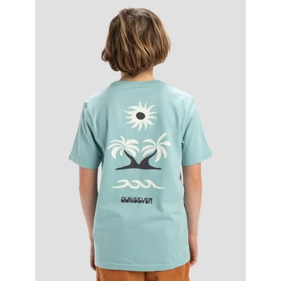 Kuva Quiksilver EVO ROAD END Printtipaita lapsille, Koko: 128, Bgw
