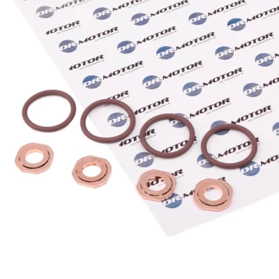 Kuva DR.MOTOR AUTOMOTIVE DRM018S Tiivistesarja, Ruiskutussuutin