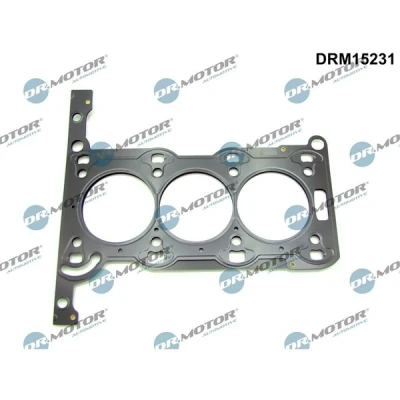 Kuva DR.MOTOR AUTOMOTIVE DRM15231 Kannentiiviste 0,55mm 73,50mm OPEL: Corsa B Hatchback