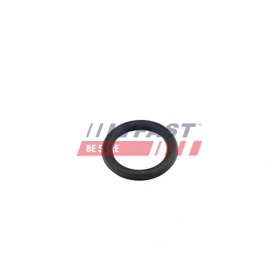 Kuva FAST FT49419 Imusarjan Tiivisteet VOLVO: V50, V70 3, PEUGEOT: 407 SW, Sedan, 206 Hatchback, FORD: Focus 2, FIESTA 5, 2 Kombi