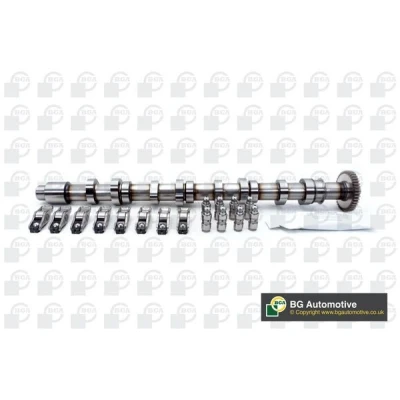Kuva Nokka akselisarja, Poisto AUDI, SEAT, SKODA, VW OE 03L109022, 03L109022D