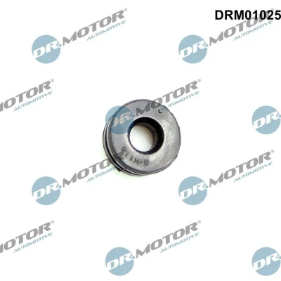Kuva DR.MOTOR AUTOMOTIVE DRM01025 Rajoitin, Moottorikoppa