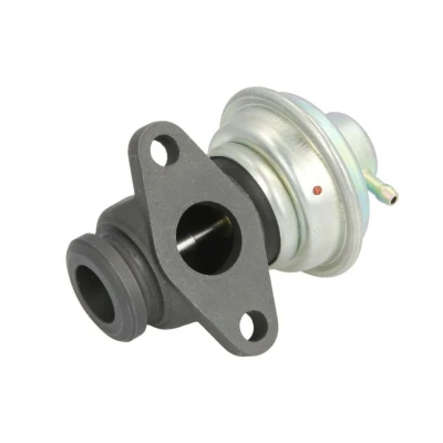Kuva MAGNETI MARELLI 571822112113 EGR Venttiili RENAULT: MASTER 2 Bus