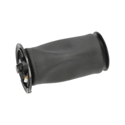 Kuva Ilmajousi, jousitus KAVO PARTS SAS 10005