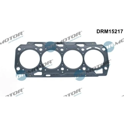 Kuva DR.MOTOR AUTOMOTIVE DRM15217 Kannentiiviste 0,95 84 OPEL: Astra J Sports Tourer, Insignia A Hatchback