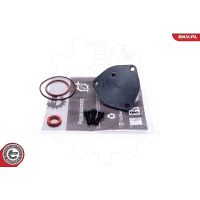 Kuva Korjaussarja, alipainepumppu (jarru) Audi, Vw OE 068145101A, 068145101AX, 068145101B