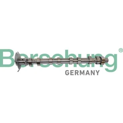 Kuva Nokka akseli Borsehung B11320
