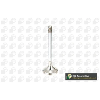 Kuva Pakoventtiili NISSAN OE 13202 57J02, 60J02