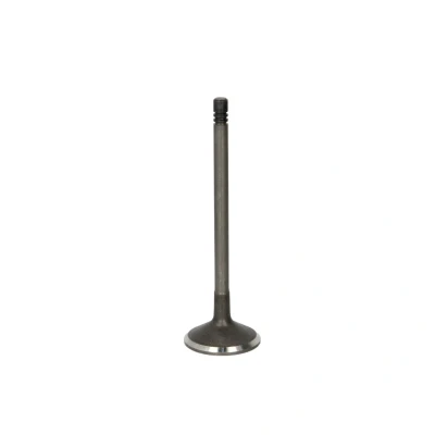 Kuva FRECCIA R6605/SNT Imuventtiili 32 Venttiilivarsi nitrattu VOLVO: V70 2, S40 II, I