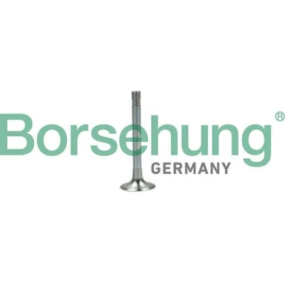 Kuva Borsehung B19003 Pakoventtiili VOLKSWAGEN: Passat B6 Variant, Caddy 3, Jetta SKODA: Octavia II Hatchback, AUDI: A3 Hatchback