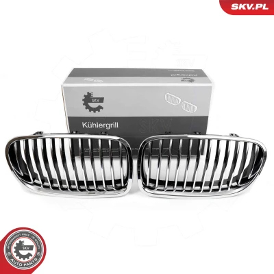 Kuva ESEN SKV 66SKV182 Etusäleikkö kromi BMW: 5 Sedan, Touring