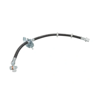 Kuva DELPHI LH0404 Jarruletku 500 M10x1 Int SF