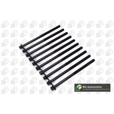 Kuva Sylinterikannen pulttisarja DODGE, JEEP, MERCEDES BENZ OE 6510160469(x10), 6510160469, 68089266AA