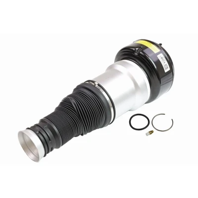 Kuva Dunlop Airsuspension 71209 Ilmajousitus Taakse, vasen MERCEDES BENZ: S sarja Sedan
