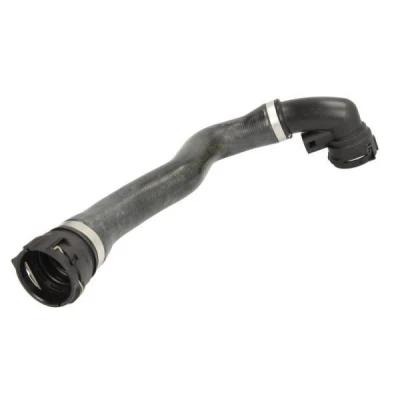 Kuva THERMOTEC DWB059TT Jäähdyttimen Letku Eteen, oikea BMW: X5