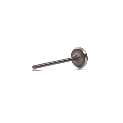 Kuva FRECCIA R6113/S Imuventtiili 33,3 PEUGEOT: 407 SW, 307 Hatchback, CITROËN: C4 I C5 Farmari
