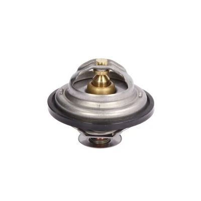 Kuva THERMOTEC D2IV004TT Termostaatti 79 Tiivisteillä Ilman koppaa