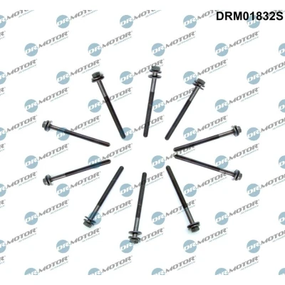 Kuva DR.MOTOR AUTOMOTIVE DRM01832S Kannen Pultit Kuusioruuvi / mutteri 10 FORD: Transit V363 Bussi, S Max Mk2, Van