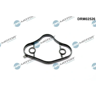 Kuva Tiiviste, polttoainepumppu Dr.Motor Automotive DRM02526