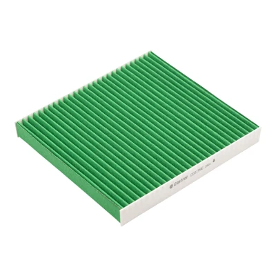 Kuva Castrol filters CC0199C Raitisilmasuodatin Aktiivihiilisuodatin, Antibakteerisella vaikutuksella 263mm 243mm 30mm JEEP: GRAND CHEROKEE 4