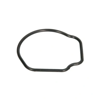 Kuva AJUSA 01096800 Termostaatin Tiiviste CHEVROLET: Aveo Hatchback, OPEL: Corsa C FIAT: Punto II Hatchback