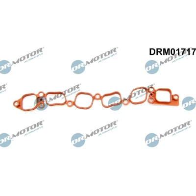 Kuva DR.MOTOR AUTOMOTIVE DRM01717 Imusarjan Tiivisteet VOLKSWAGEN: Golf 4, 4 Variant, Bora Sedan, SEAT: Leon I Hatchback