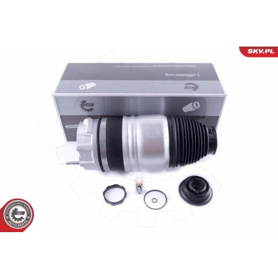 Kuva Ilmajousi, jousitus, Etuakseli, oikea PORSCHE CAYENNE, VW TOUAREG OE 95535804000, 95834304450, 95834304650