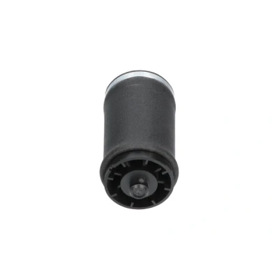 Kuva Ilmajousi, jousitus KAVO PARTS SAS 10034