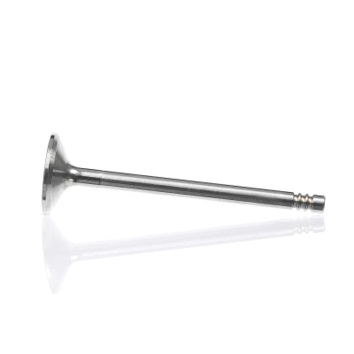Kuva Imuventtiili, Imupuoli RENAULT, VOLVO OE 1397641, 7438610007