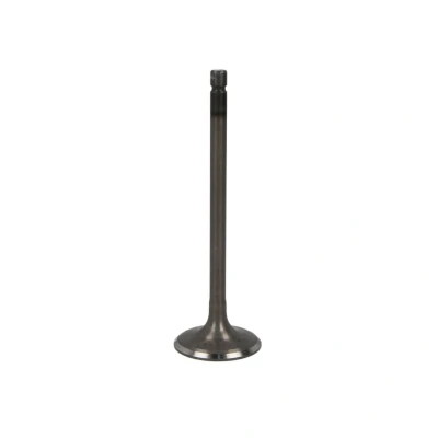 Kuva FRECCIA R6593/SNT Imuventtiili 30 Venttiilivarsi nitrattu