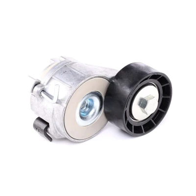 Kuva SKF VKM 33161 Kiristysrulla PEUGEOT: 206+ Hatchback, Partner I Combispace, 206 CITROËN: Xsara Picasso, Berlingo / First