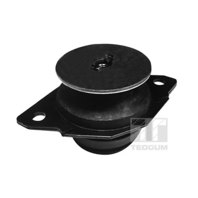 Kuva Kiinnitys, manuaalivaihteiston tuki, Takana SEAT, VW OE 357 199 381C, 357199381, 357199381A