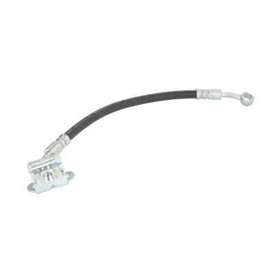 Kuva DELPHI LH7579 Jarruletku 300 120 SF