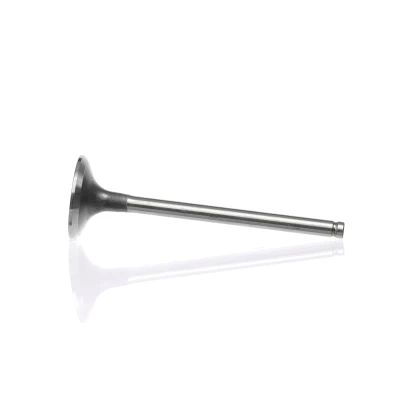 Kuva Imuventtiili, Imupuoli MITSUBISHI, NISSAN, OPEL, RENAULT, VAUXHALL, VOLVO OE 1320100QAC, 1320100QAM, 13201AW300