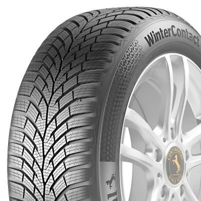 Kuva Continental WinterContact TS870 195/65R15 91H Kitkarenkaat Talvirenkaat