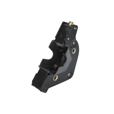 Kuva DT Spare Parts 1.22486 Oven Lukko Takana