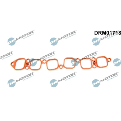 Kuva DR.MOTOR AUTOMOTIVE DRM01718 Imusarjan Tiivisteet VOLKSWAGEN: Multivan 5 (7HM, Golf 4, Transporter 5, PORSCHE: Cayenne, AUDI: A3 Sportback, TT Coupe