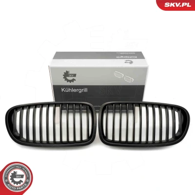 Kuva ESEN SKV 66SKV181 Etusäleikkö mattamusta BMW: 5 Sedan, Touring