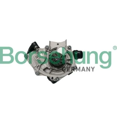 Kuva Borsehung B11209 Vesipumppu VOLKSWAGEN: Beetle Hatchback