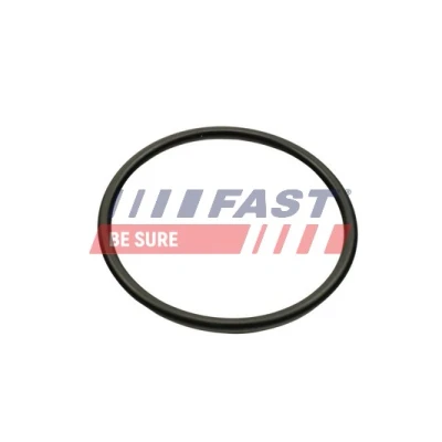 Kuva FAST FT49460 Imusarjan Tiivisteet Poisto RENAULT: SCENIC 2, MEGANE 2 Kombi, CLIO