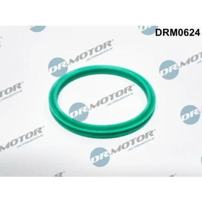 Kuva DR.MOTOR AUTOMOTIVE DRM0624 Tiivisterengas, ahtoilmaletku DACIA: Duster SUV